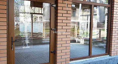 Вхідні двері для веранди WDS - головне фото